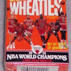 1991 Chicago Bulls 1991 NBA World Champions (mini)