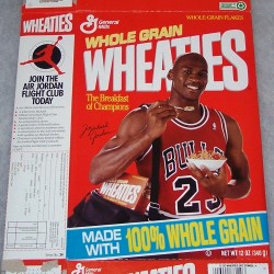 1991 Michael Jordan (Air Jordan Flight Club offer on side panel)