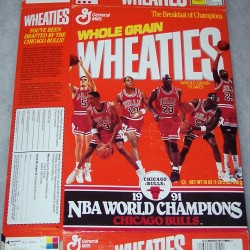 1991 Chicago Bulls 1991 NBA World Champions