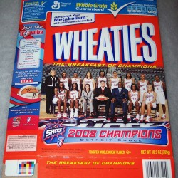 2008 Detroit Shock 2008 WNBA Champions