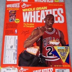 1991 Michael Jordan Fleer NBA Basketball Card Collector Sheet (1 of 8)