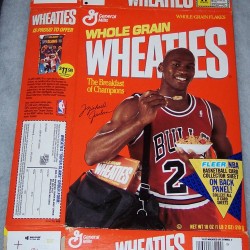 1991 Michael Jordan Fleer NBA Basketball Card Collector Sheet (2 of 8)