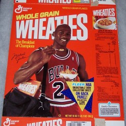 1991 Michael Jordan Fleer NBA Basketball Card Collector Sheet (3 of 8)