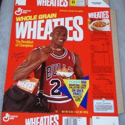 1991 Michael Jordan Fleer NBA Basketball Card Collector Sheet (7 of 8)