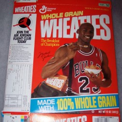 1991 Michael Jordan (Air Jordan Flight Club offer on side panel)