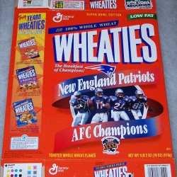 1997 New England Patriots AFC Champions