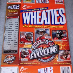 2003 Tampa Bay Buccaneers World Champions 2002 Season