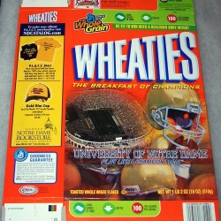 2006 University of Notre Dame Play Like a Champion Today