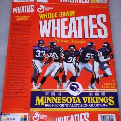 1992 Minnesota Vikings 1992 NFC Central Division Champions