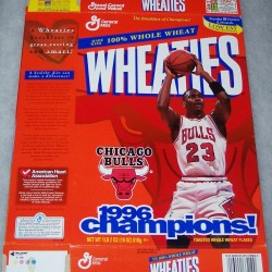 1996 Chicago Bulls 1996 Champions!