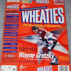 2003 Wayne Gretzky The Great One Eighteen Time All-Star