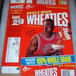 1990 Michael Jordan (Picture Box offer on side panel)