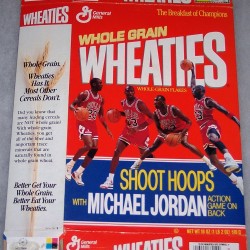 1990 Michael Jordan Shoot Hoops Action Game on Back